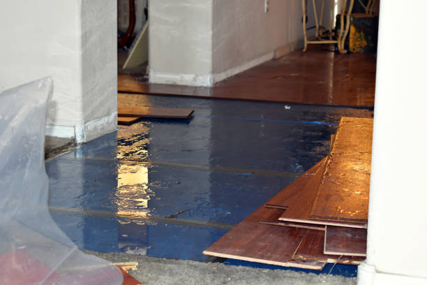Professional Basement Flood Cleanup technician working in Ringwood, IL
